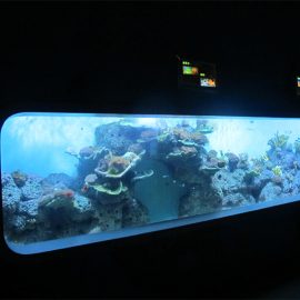 Bể nhân tạo acrylic hình trụ Trong suốt hồ cá / cửa sổ xem