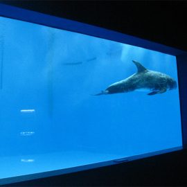 chất lượng cao Bể cá acrylic lớn / cửa sổ hồ bơi dưới nước dày cửa sổ tấm