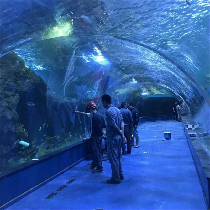 Dự án thủy cung đường hầm acrylic trong bể cá công cộng